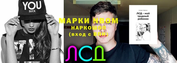 крисы Гусиноозёрск